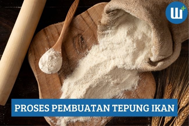 Begini Cara Proses Pembuatan Tepung Ikan